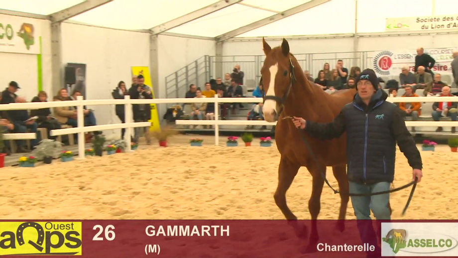 26 Gammarth